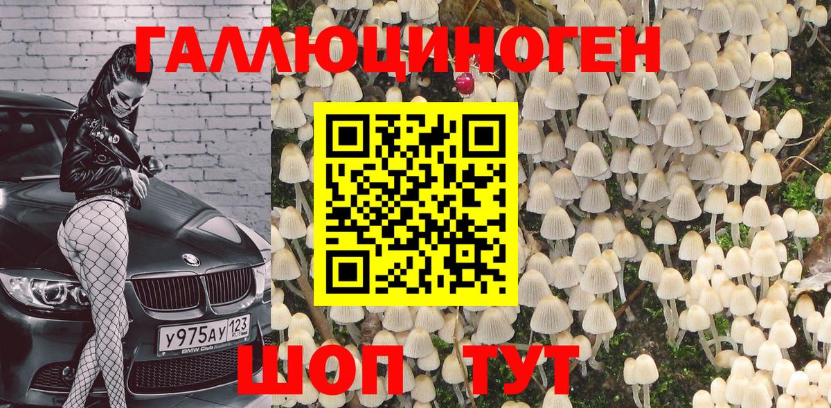 Псилоцибиновые грибы Magic Shrooms Спасск-Дальний